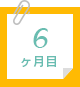 6ヶ月目