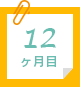 12ヶ月目