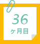 36ヶ月目